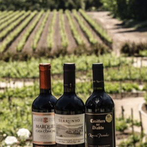 Tour Viña Concha y Toro