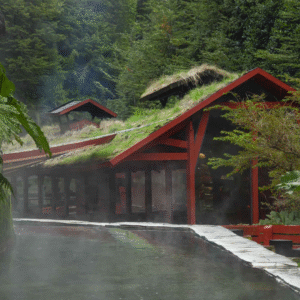 Termas Geométricas + Entrada
