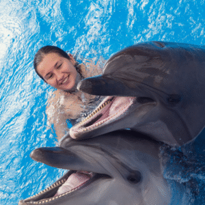 Dolphin discovery Cancún