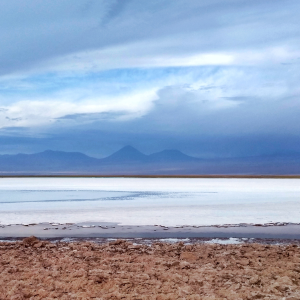 Laguna Cejar