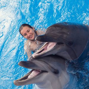 Dolphin Encounter:  + Rayas + Tiburones